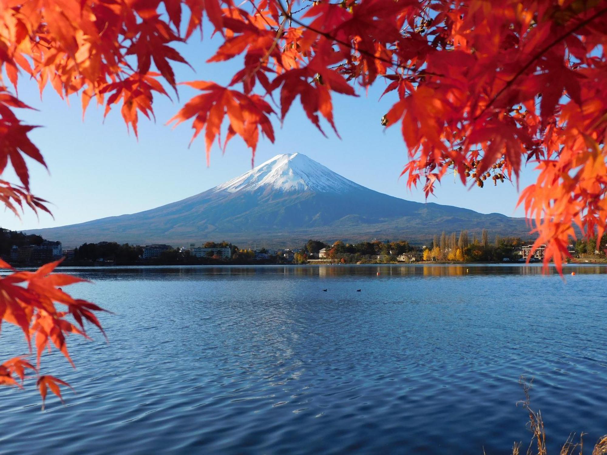 Kawaguchiko Inn Yesterday Fujikawaguchiko Exteriör bild